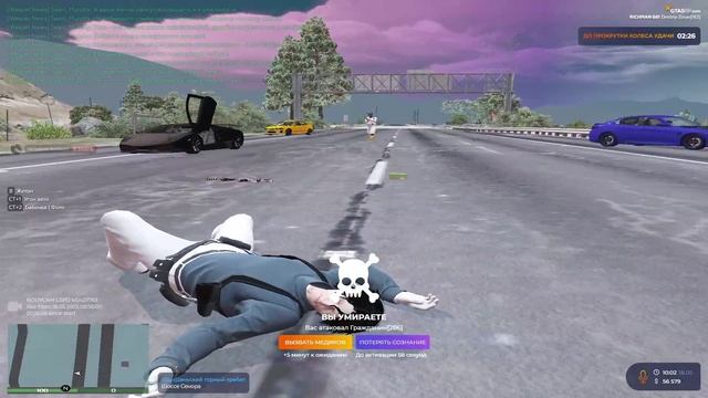 ДМ Спина