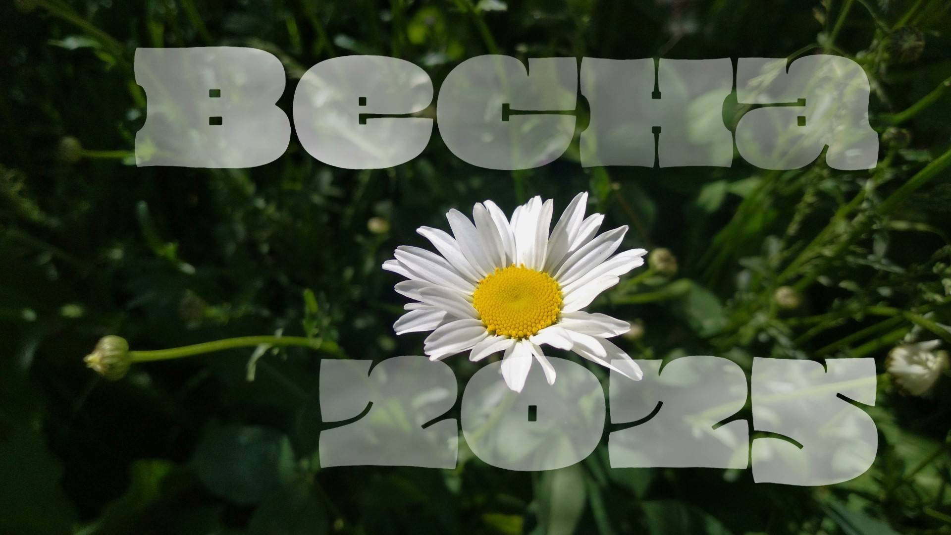 Весна 2025