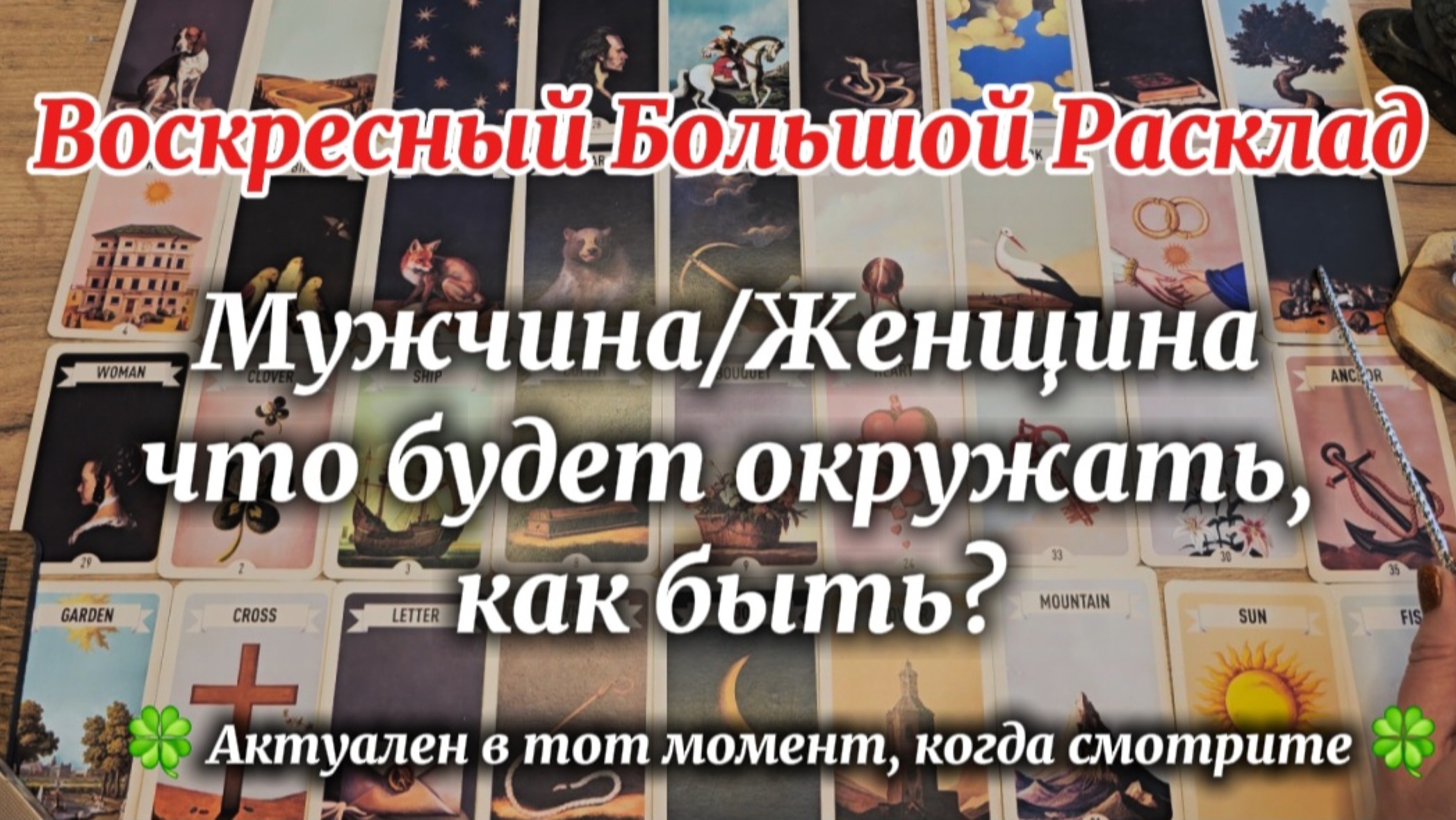 ✨️Что Вас будет окружать в течении недели? События, мысли, решения, рекомендации✨️