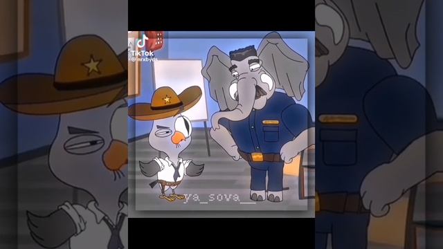 подозрительная сова