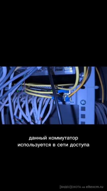 Коммутатор доступа MES2348B Eltex. Видео[Охота] на eltexcm.ru