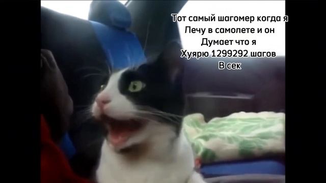 Тот самый шагомер: