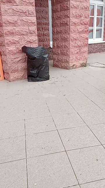 восстание динозавров