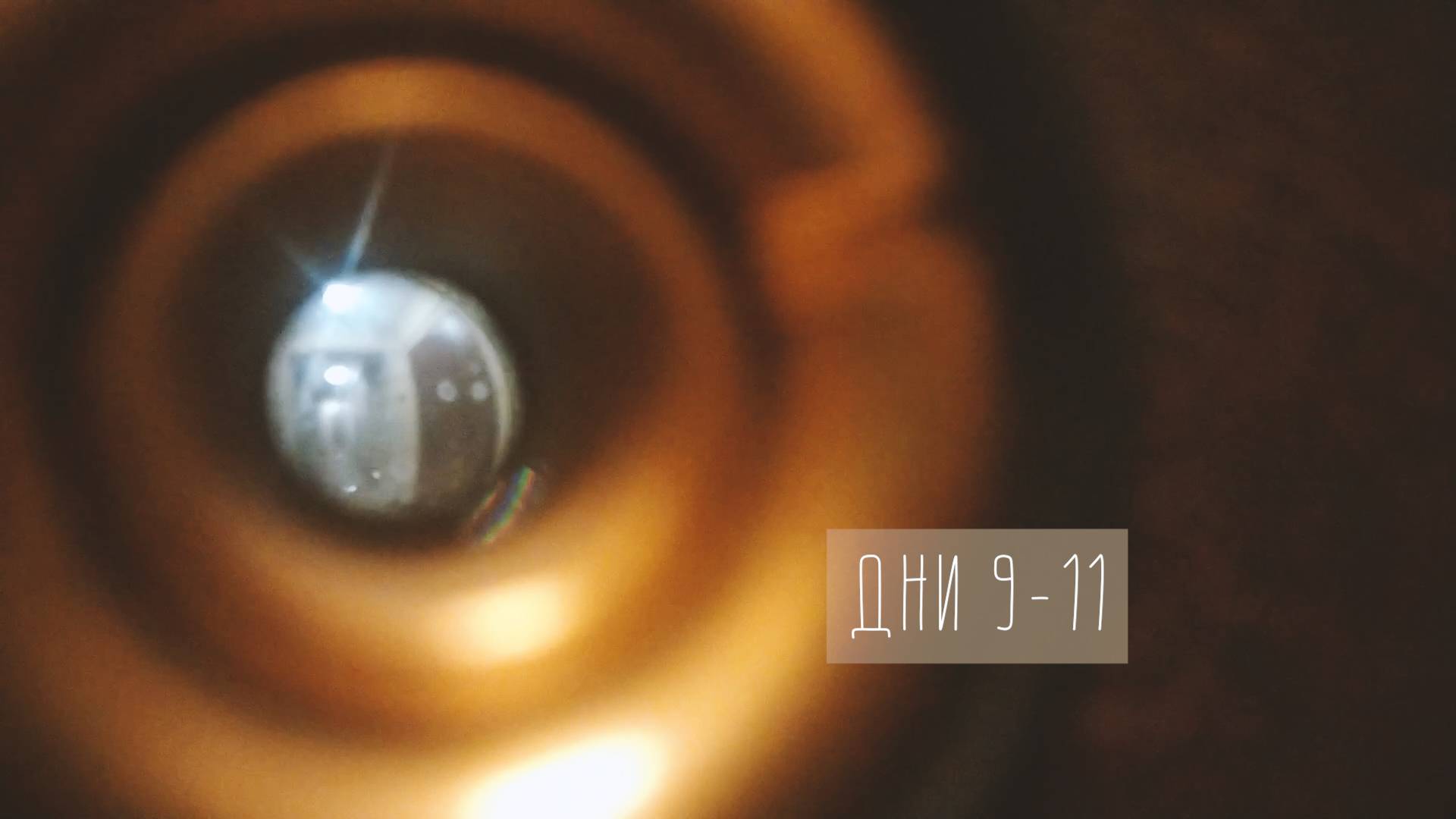 Поболтали - и точка. Дни 9-11