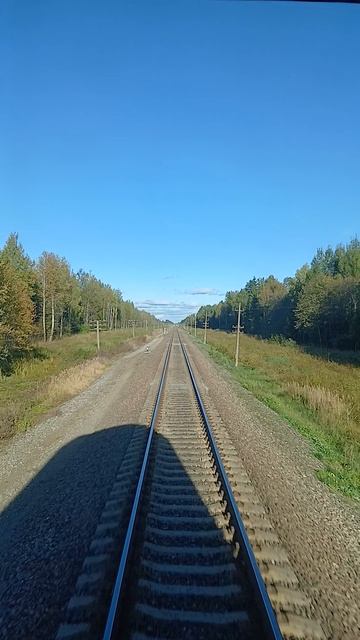 В последнем вагоне скорого поезда 🚆