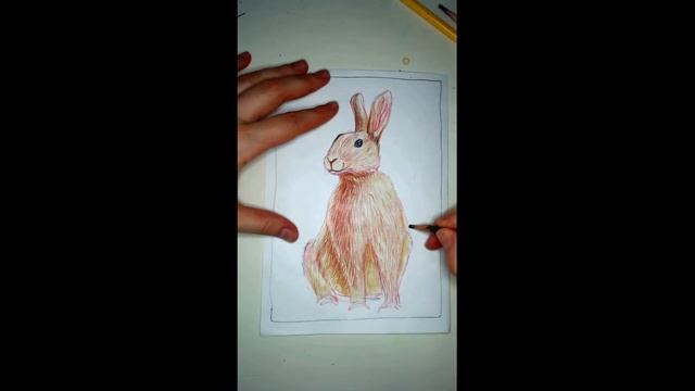 Рисуем Кролика. Цветные карандаши 5+