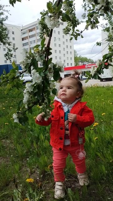 VID_20250514_153159.mp4