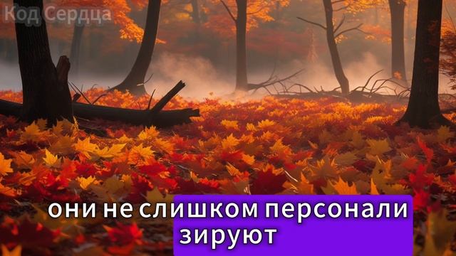 Этот шаг со стороны пожилых женщин эмоционально пораж