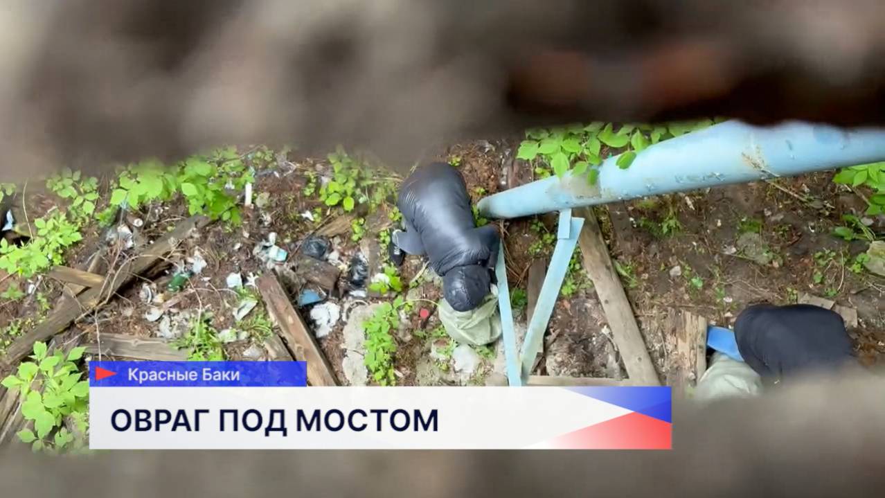 В Краснобаковском округе проходит субботник