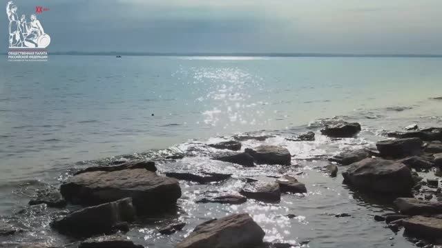 День Волги в Общественной палате России