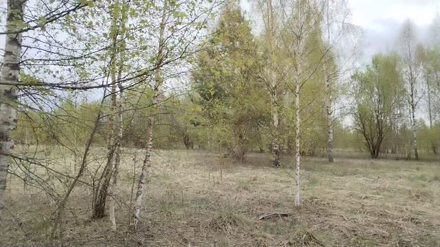 торги богданово 50:04:0240302:719