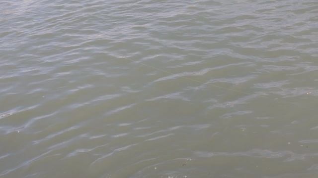 рыбалка на Средиземном море,на реке Аджапсуг