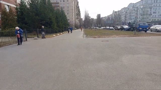 Пеший Курьер в ЯНДЕКС ЕДЕ на ЭЛЕКТРО САМОКАТЕ