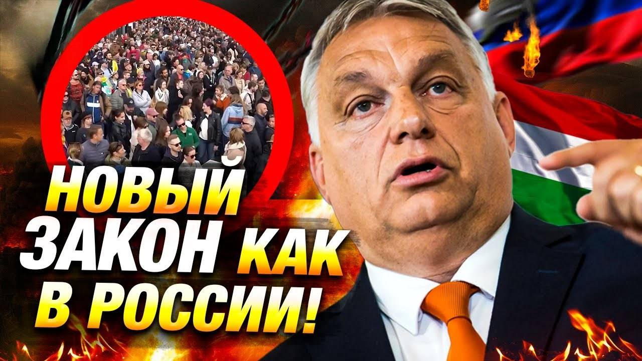 Протесты в Венгрии: закон Орбана как в России? 🚨