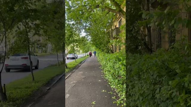 Какое все зелёное…🍀