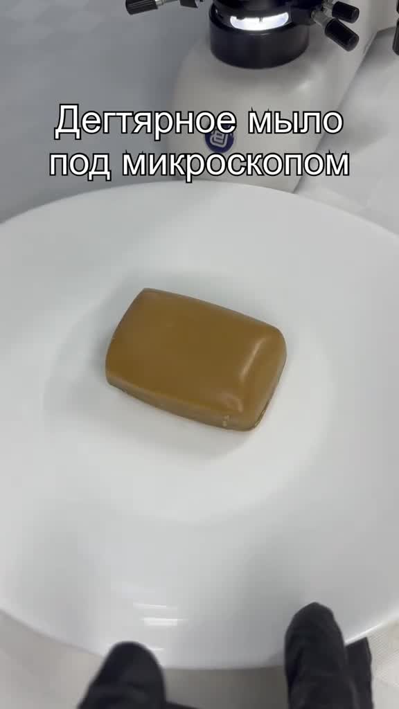 #микроскоп #микромир #подмикроскопом #интересно #наука