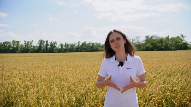 Молочная и восковая спелость. «Агрономия в цифрах». Вы
