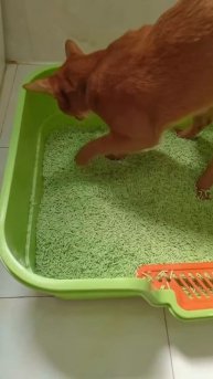 Они до сих пор там копаются 😹😹