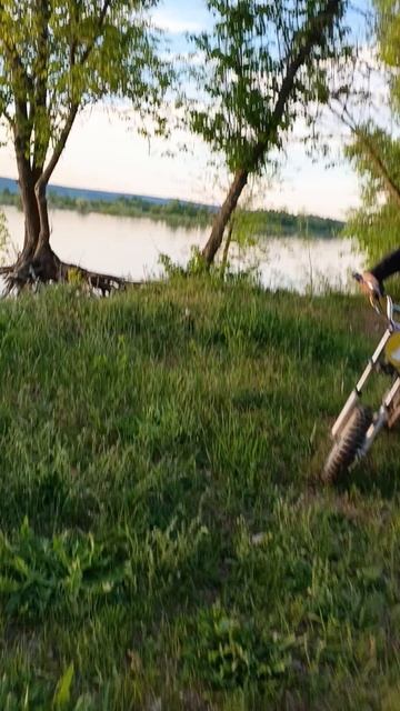 1000005950.mp4