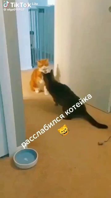ты где был ?