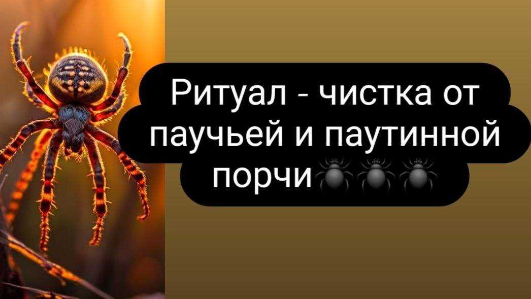 Ритуал - чистка от паучьей или паутинной порчи. #паучьяпорча #чисткаотпаучьейпорчи