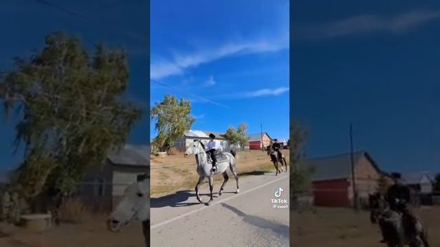 РОЗА БЕЛАЯ, ВИШНЯ СПЕЛАЯ!