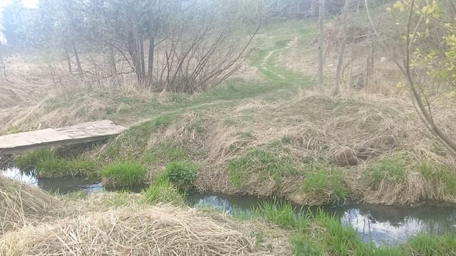 VID_20250422_141417