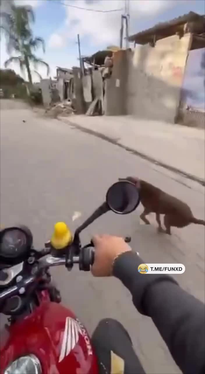 Ответил тем же😁
