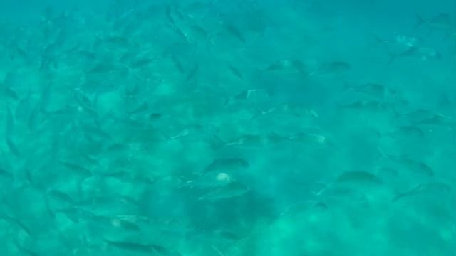 Эх, надо было удочку взять 🐟🐟🐟