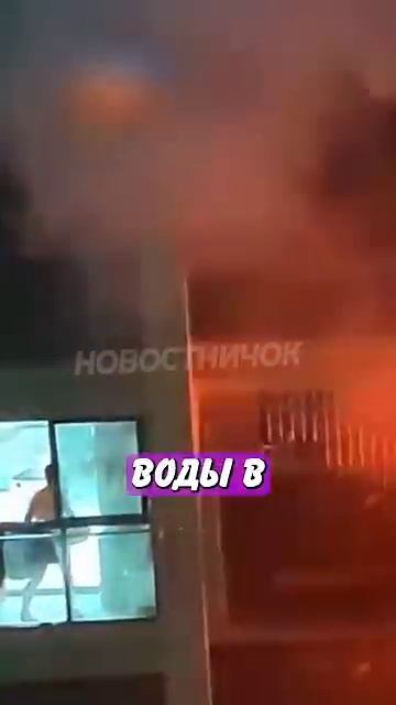 Новостничок (310)