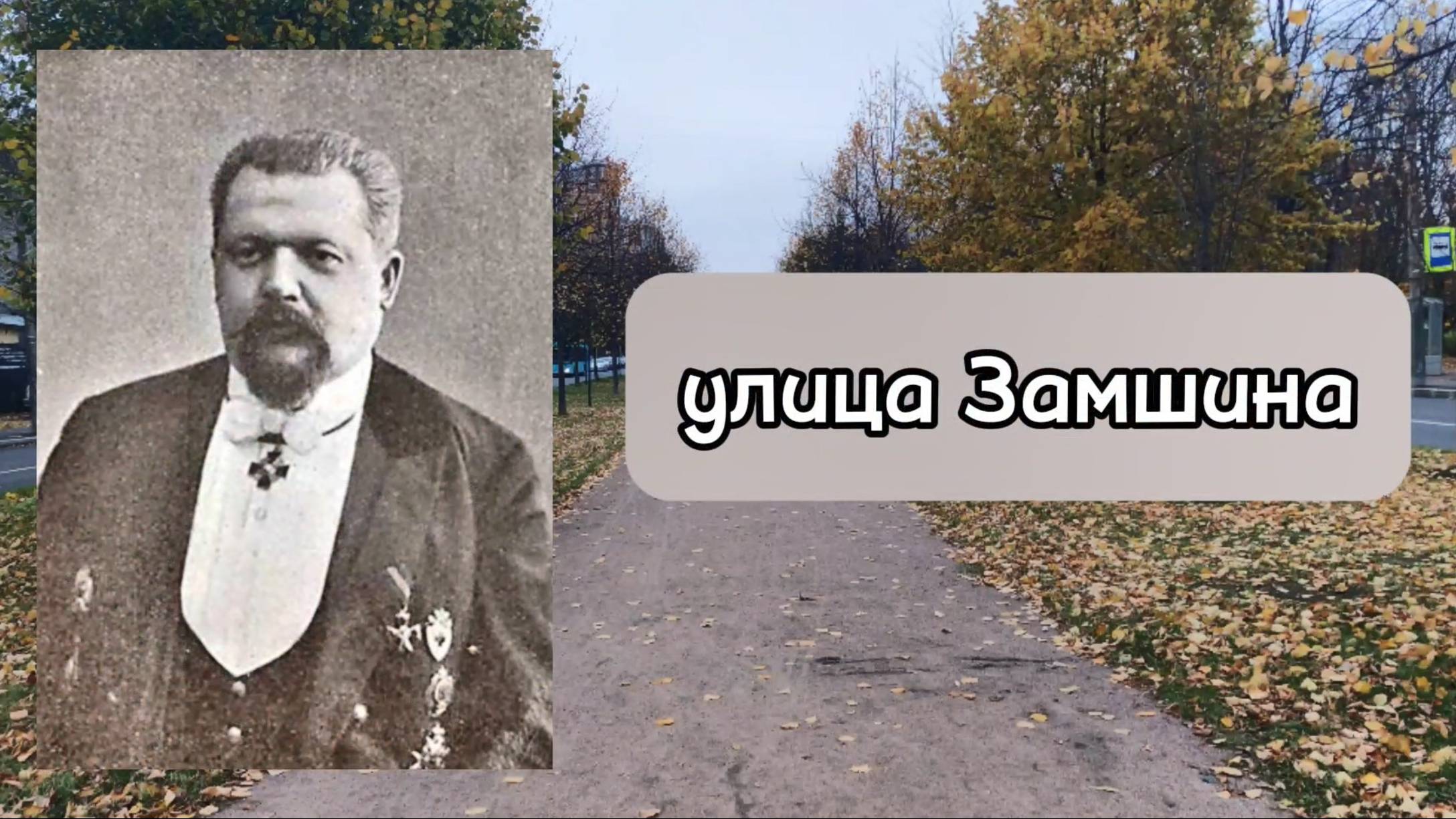 улица Замшина СПб