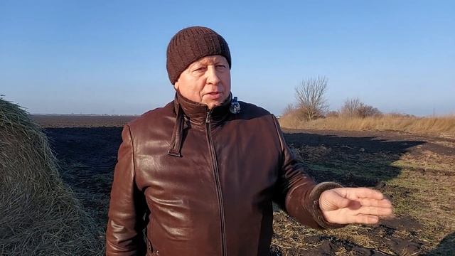 ЯРА ПШЕНИЦЯ |Технологія вирощування...