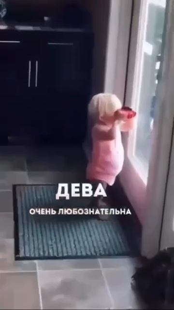 VID-20250520-WA0002.mp4