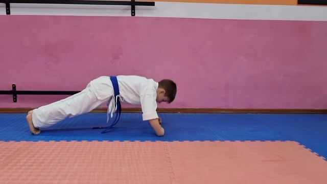 Трудовые будни каратиста 209