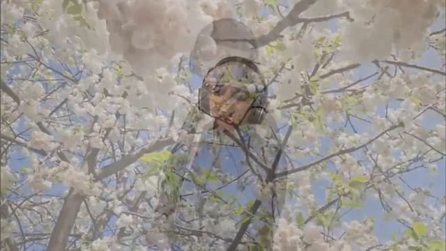 Анатолий Кулагин - Аромат Сирени