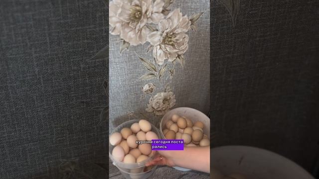 Утро в деревне