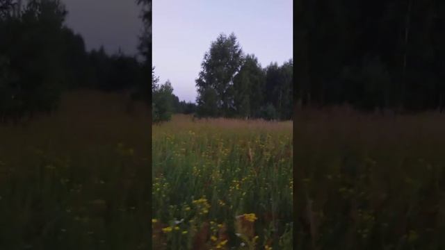 охота с лайкой рел 3