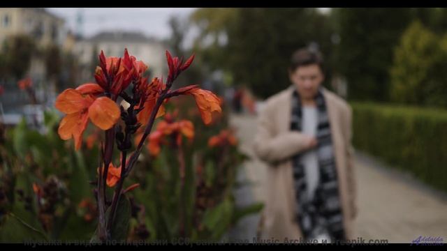 Кадры природы, которые снимут стресс за 3 минуты! - Pews -- NADINE -- Live at WFMU for Sophisticated