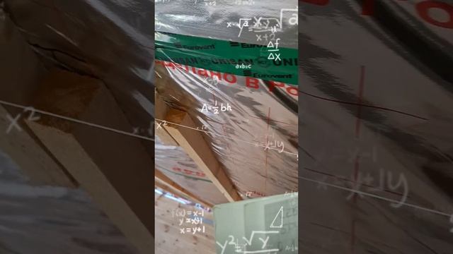 1000024121.mp4 (Собака наблюдает за проверкой плоскости каркаса для эмитации бруса внутри дома)