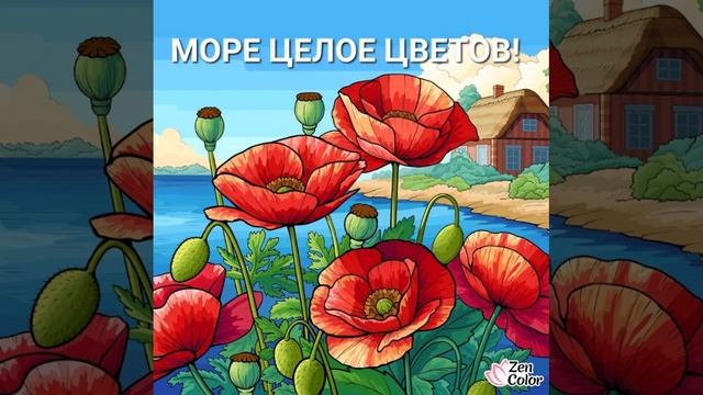 цветы