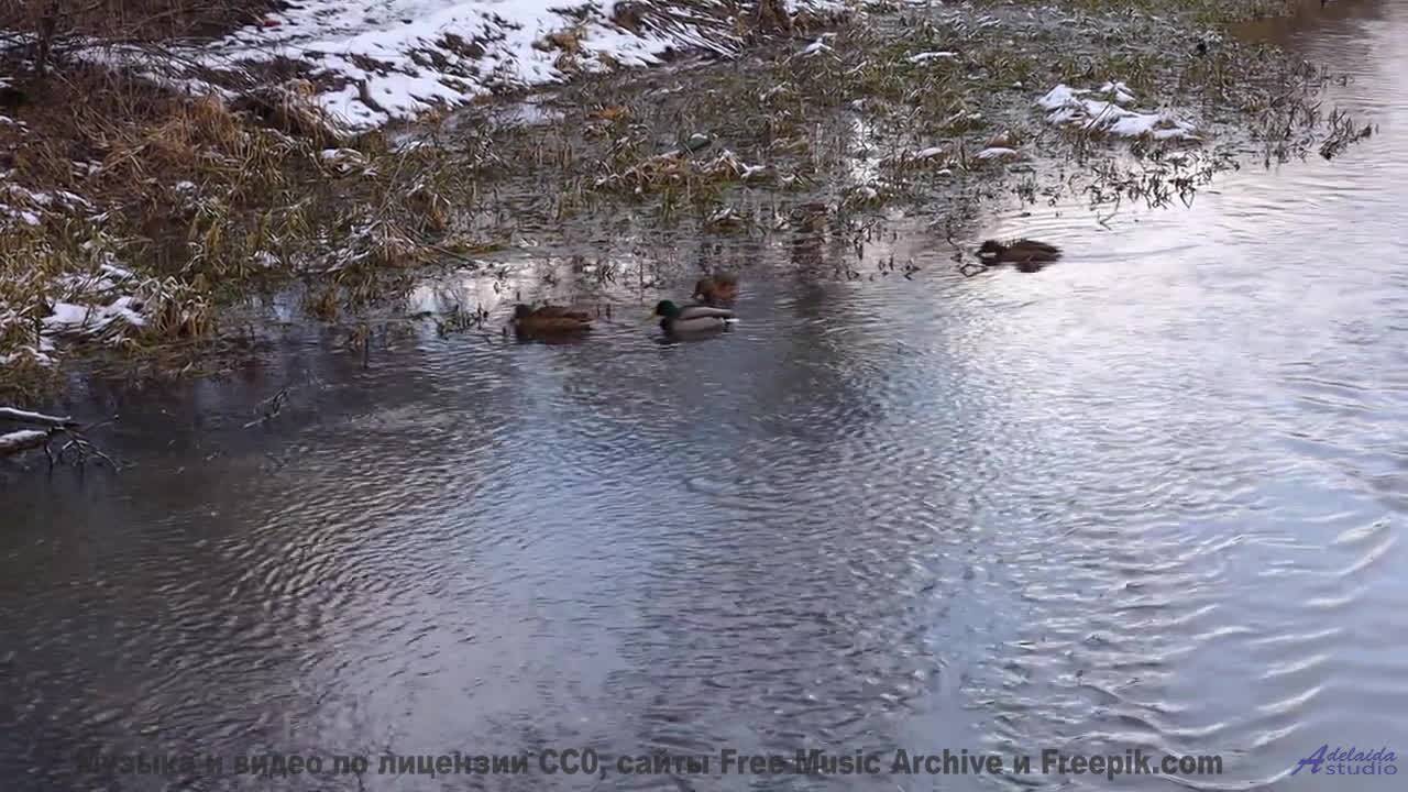 Эта музыка вдохнёт жизнь в каждый пейзаж - Memoria (Mythic Mix) -- AKMV-18 -- Damnatio Memoriae EP