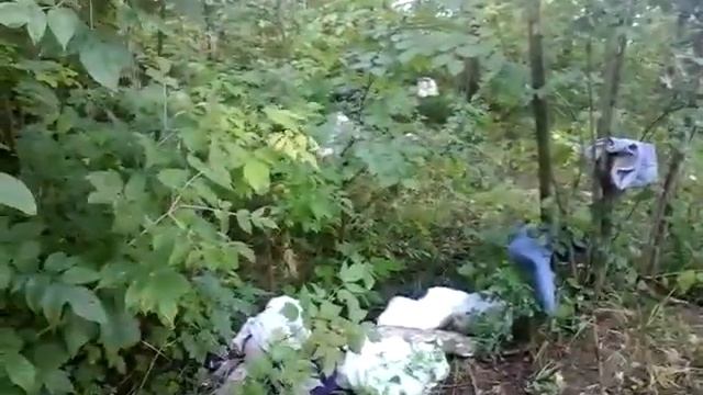 А как Минеев с УК ЖЭЦ осуществляет вывоз отходов по вы?