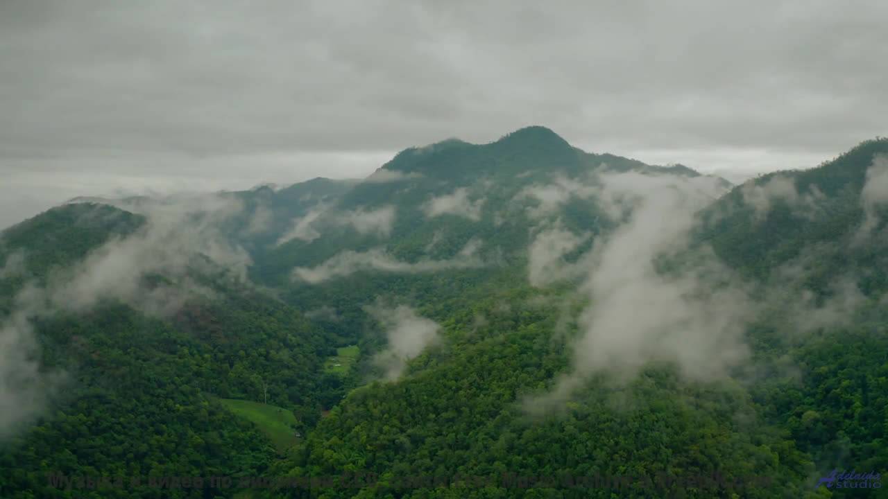 Эти звуки и леса спасут вас от серых будней - All Behind Me -- Greg Atkinson -- All Behind Me