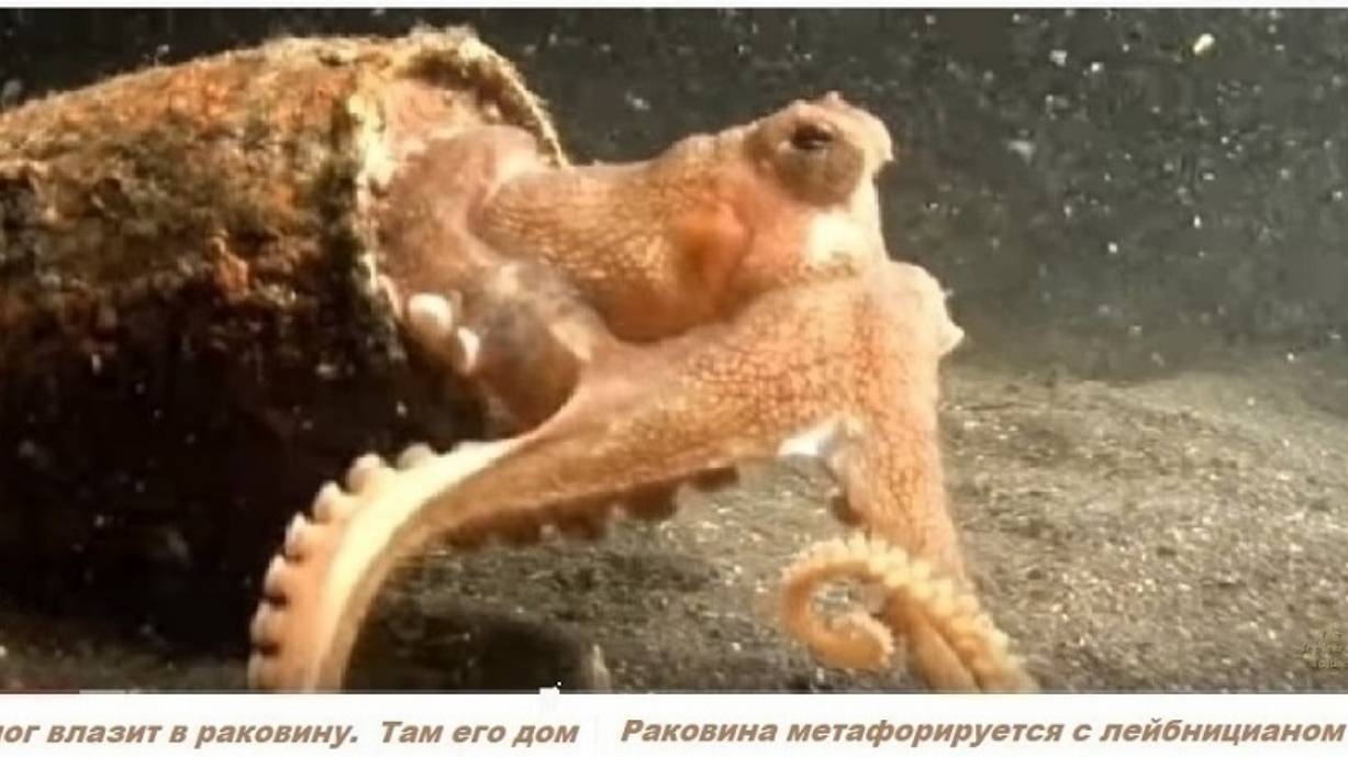 1-10-22+  ЛЕЙБНИЦИАН между Le-space и нашим агрегатным миром
