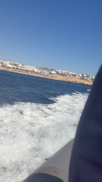 Красное море
