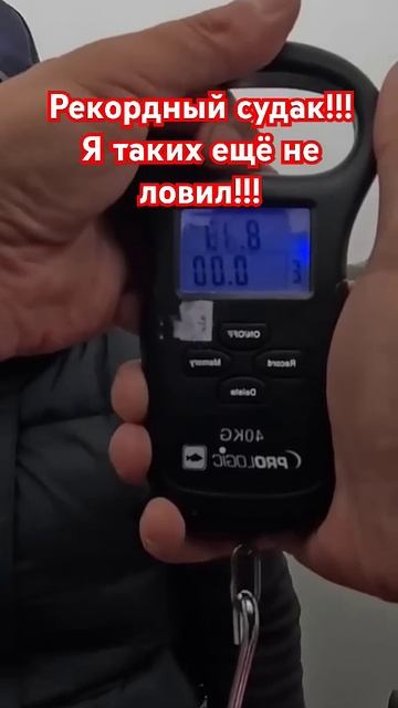 Вот это судак! 🎣