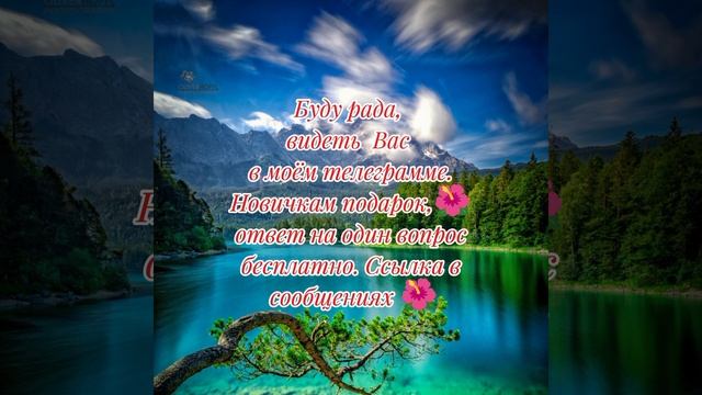 Прогнозы/бесплатные разборы ваших карт в моём телеграмме:https://t.me/astrologAstrovscai