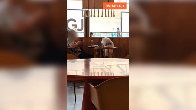 Хабаровчане возмущаются собакам в кафе