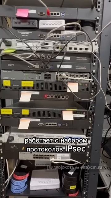 Маршрутизатор ESR-31 Eltex. Видео[Охота] на eltexcm.ru