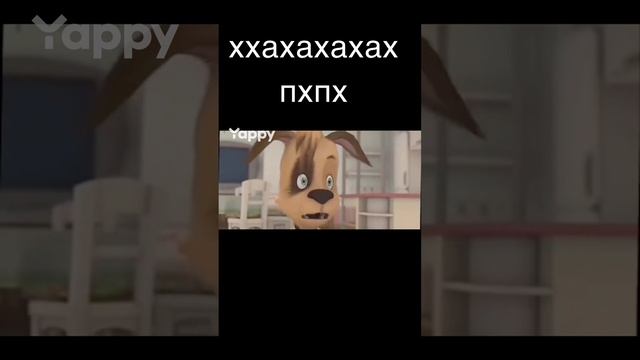 барбоскины (юмор)